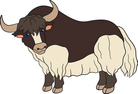 Best Yak Illustrations Royalty Free Vector Graphics And Clip Art Istock