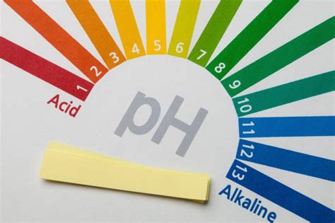 Độ pH trong tinh dịch là gì
