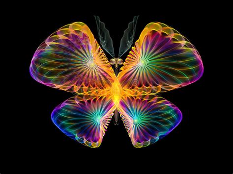 Beautiful Butterfly Stock Illustration Illustration Of