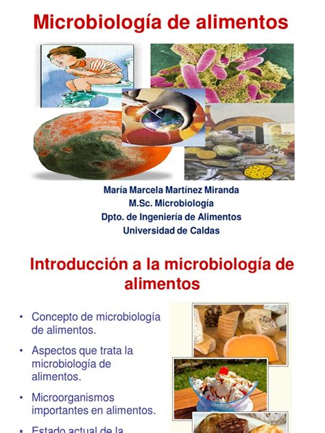 Introduccion A La Microbiologia De Alimentos Bacterias Microorganismo