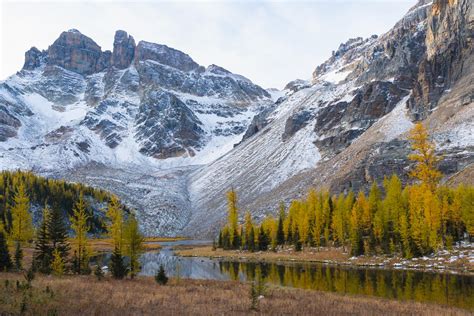 Larches Near Wonder Pass Bc Canada Landscapephotography