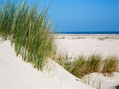 Alle personen, die sich auf norderney aufhalten, müssen demnach in dem im bild gelb markierten. Norderney rentals in a house for your vacations with IHA ...