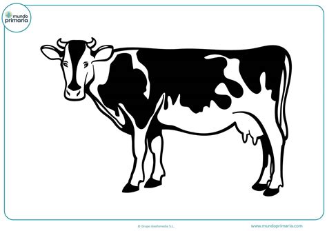 √ 99+ Imagem De Vaca Para Imprimir – imagem de vaca para imprimir