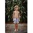 Little Boy In Shorts Cornfield — Torso Bored  Stock Photo 222715374
