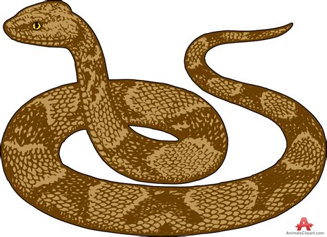 Please use and share these clipart pictures with your friends. Clipart snake brown snake, Clipart snake brown snake ...