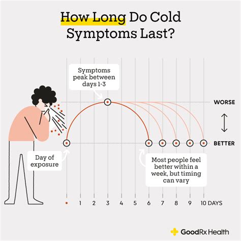 Common Cold Stages How Long Do Cold Symptoms Last Goodrx Vlrengbr