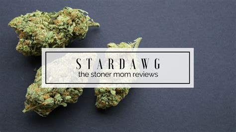 Stardawg Strain Review The Stoner Mom Reviews