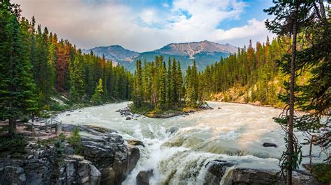 Sunwapta Falls In Jasper National Park Canada Canadian Rockies