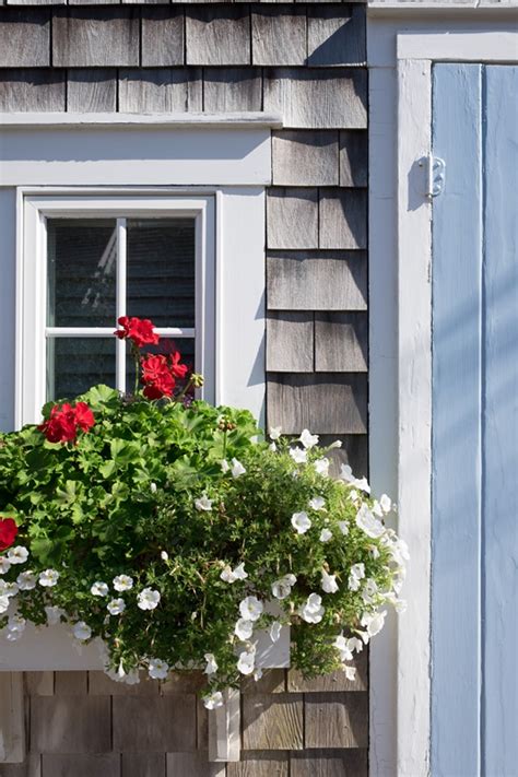 What kind of plants to plant in window box? 7 Tips for Beautiful Window Box Ideas - Town & Country Living