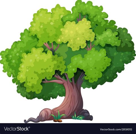 A Closeup Tree Download A Free Preview Or High Quality Adobe