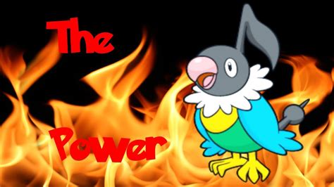 Chatot Will Mess You Up Youtube