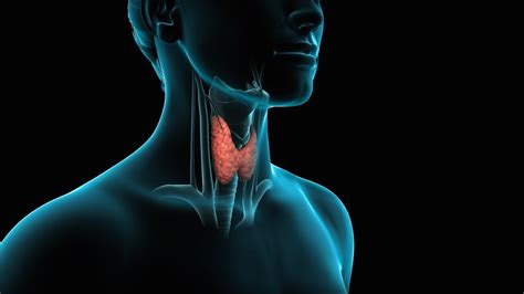 Thyroid Surgery Thyroidectomy Youtube