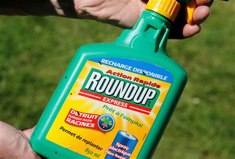 Bayer pagará 10,900 mdd a afectados por herbicida Roundup de Monsanto ...