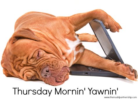 Good Morning Thursday Sleeping Dogs How To Fall Asleep Teacher Memes Funny