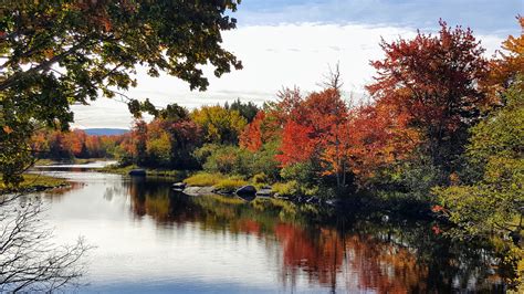 Autumn Colors In Maine The Martha Stewart Blog