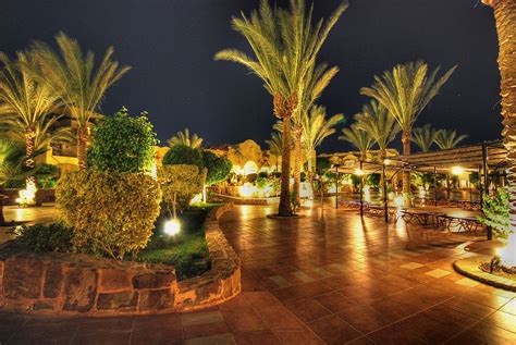 Hurghada Luxor And Marsa Alam Bars And Nightlife In 2023 Hurghada Egypt Travel Night Life