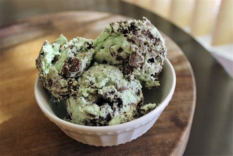 Homemade Mint Chocolate Chip Ice Cream Anyone Can Make