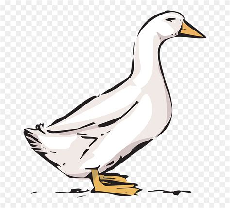 Duck On Farm Clip Art Png Download Bebek Clipart Transparent Png