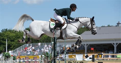 brasil fica sem pódio no hipismo por equipes após 28 anos notícias uol pan 2015