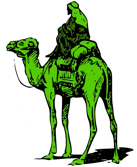 Silk road was an online black market and the first modern darknet marketplace, known for selling illegal products. Silk Road: A Lesson in Information Security