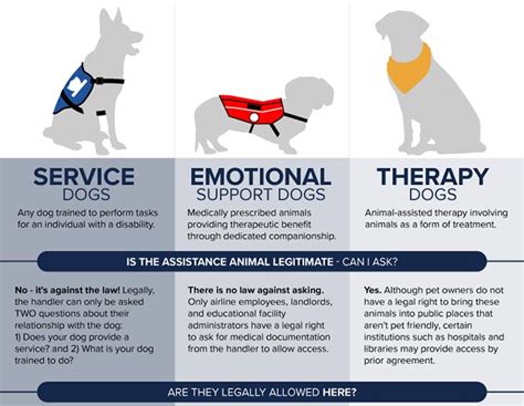 Infographic Is That A Real Service Dog Orvis News