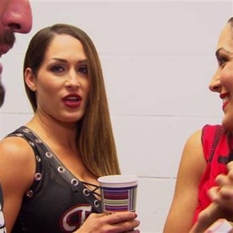Nikki Bella Throws Hater Ade At Brie E Online Ca
