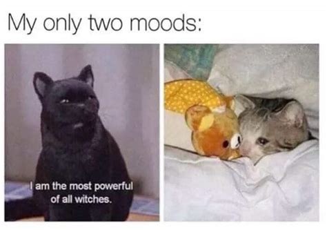 My Two Moods Rmemes
