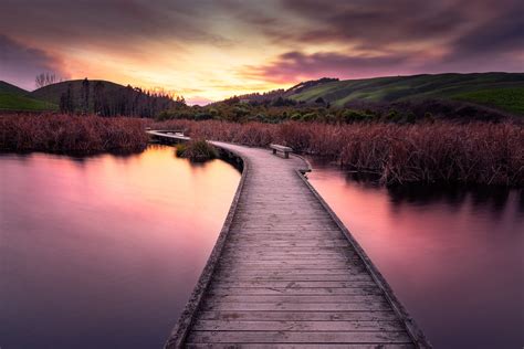 Pekapeka Wetland Boardwalk At Sunrise New Zealand By Jos Buurmans