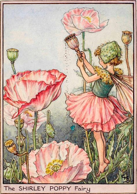 Cicely Mary Barker Shirley Poppy Flower Fairy Cicely Mary Barker