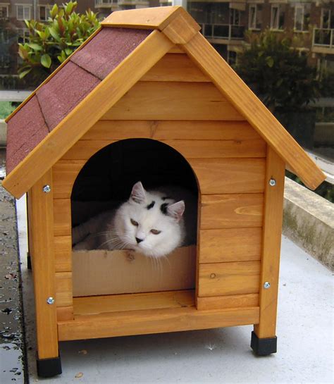 Rumah untuk di jual di selangor. Rumah Kucing Untuk Dijual | Kucing Untuk Dijual
