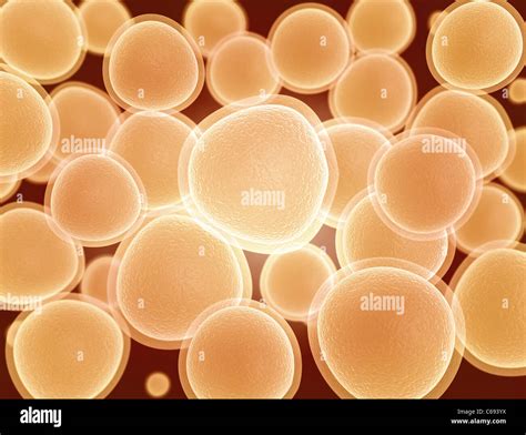 Cluster Of Cells 3d Render Stock Photo Alamy