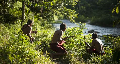 Guardianes De La Amazonía ¿cuánto Influyen Los Pueblos Indígenas Para Mantener Las Reservas De