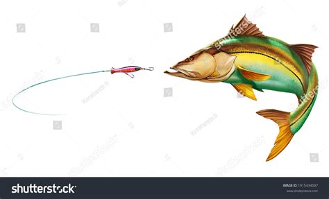 85 Snook Art Images Stock Photos And Vectors Shutterstock