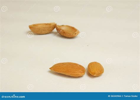 Almond With Shells Stock Photo Image Of Nuts Natural 36343966