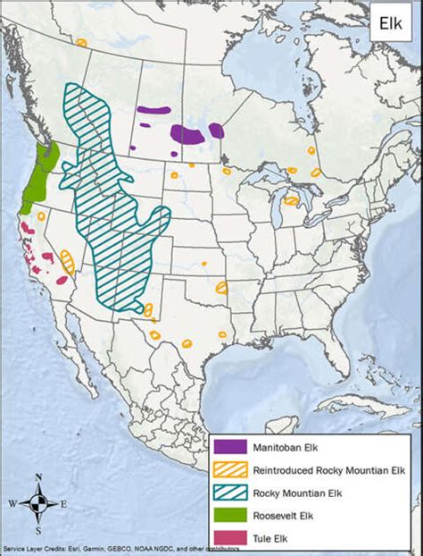 North American Elk Landpks