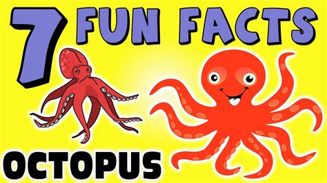 7 Fun Facts About The Octopus Facts For Kids Squid Tentacles
