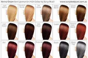 Hair Color Ideas Mystic Hair Color Swatches
