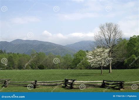 Great Smoky Mountains In Spring Stock Photo Image Of Pastoral