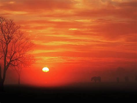 Red Sky Sunrise 2 Photograph By Jerry Connally Fine Art America