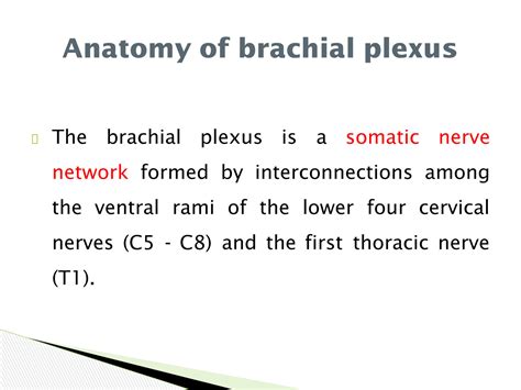 Solution Brachial Plexus Injuries Types Causes Treatment Studypool