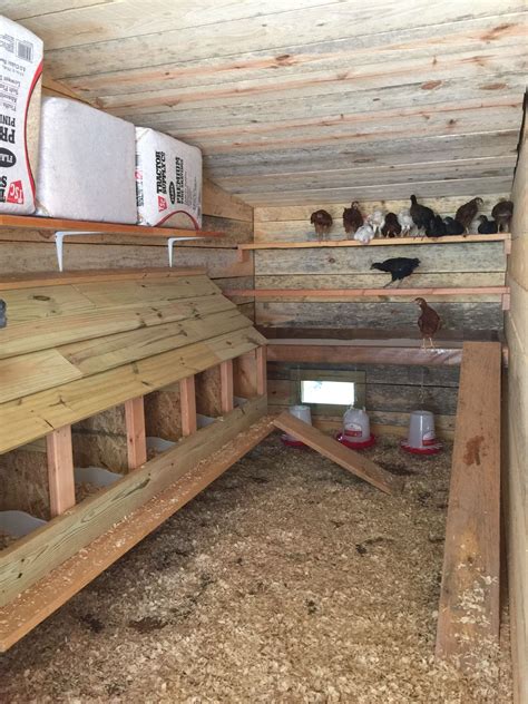 Chicken Coop Interior Design