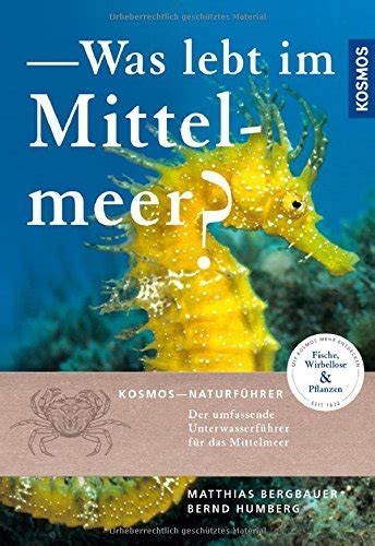 Buchtipp Was Lebt Im Mittelmeer Kosmos Verlag Unterwasser