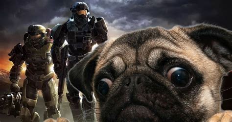 What A Good Boy A Pug Helped Make Halo Infinites Sounds Possible