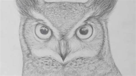 Pencil Owl Drawing Youtube