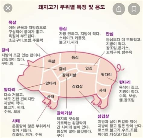 돼지고기 부위별 명칭 특징 And 용도