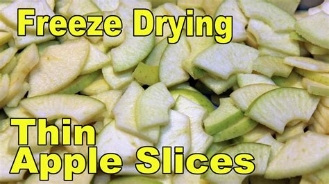 Freeze Drying Thin Apple Slices Youtube