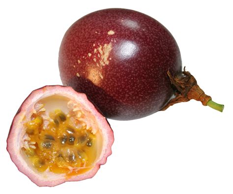 Passion Fruit PNG Image - PurePNG | Free transparent CC0 PNG Image Library