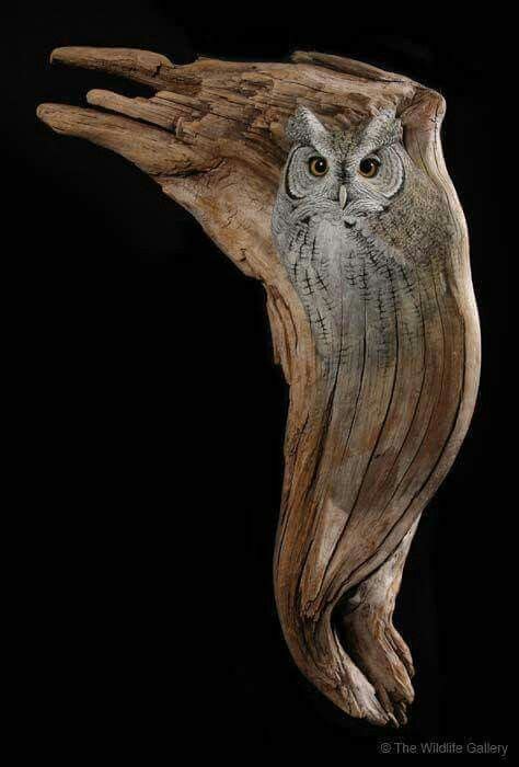 Pin By Heather Moore On Coolness Wood Carving Art Driftwood Art