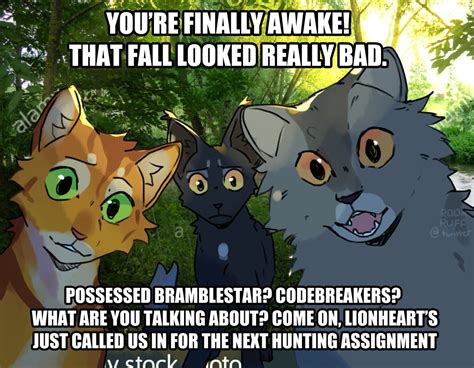 I Never Grew Out Of Angry Cats Warrior Cats Funny Warrior Cats