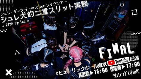 シュレーディンガーの犬 1st ライブツアー『シュレ犬的二重スリット実験〜2022 Spring〜 In 東京』 Youtube